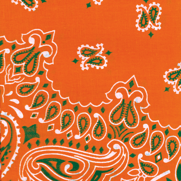Hav-A-Hank Paisley Bandanna 22/"X22/"-Orange