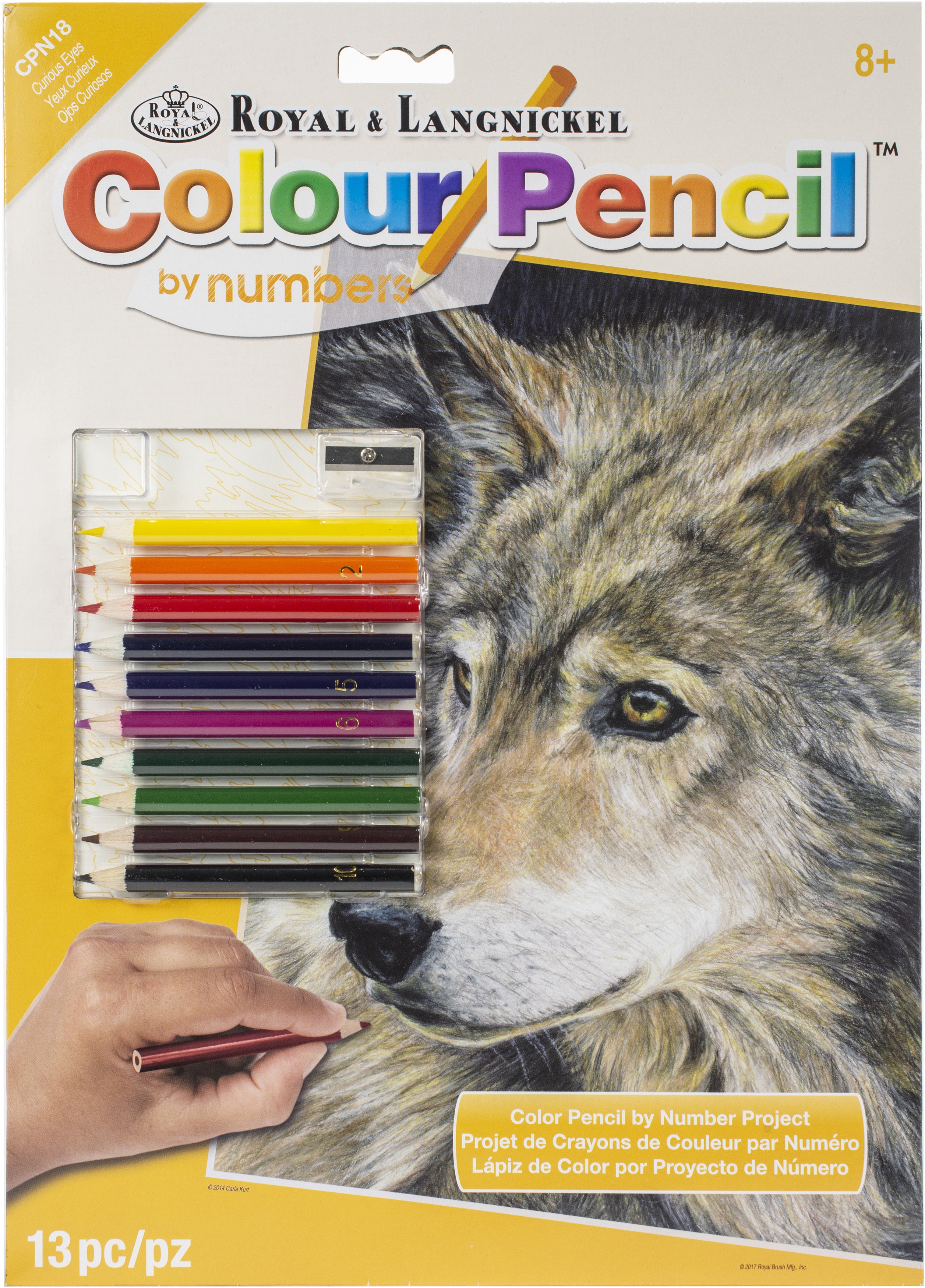 Royal Brush Color Pencil By Number Kit 8.75"X11.75"-Curious Eyes, Set