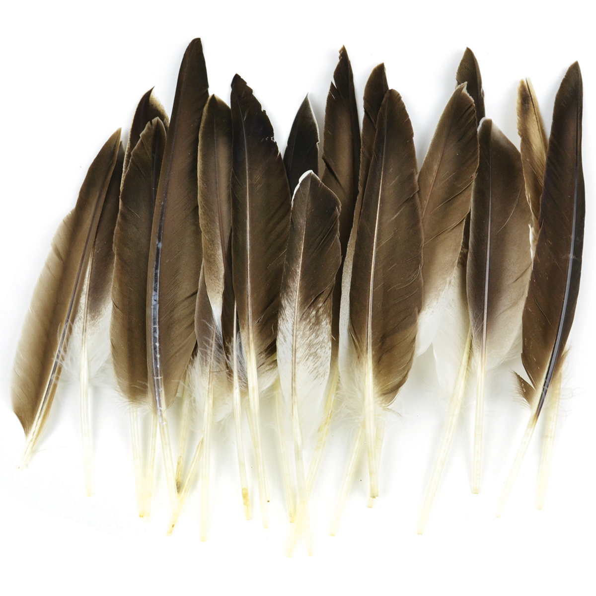 quaik feather
