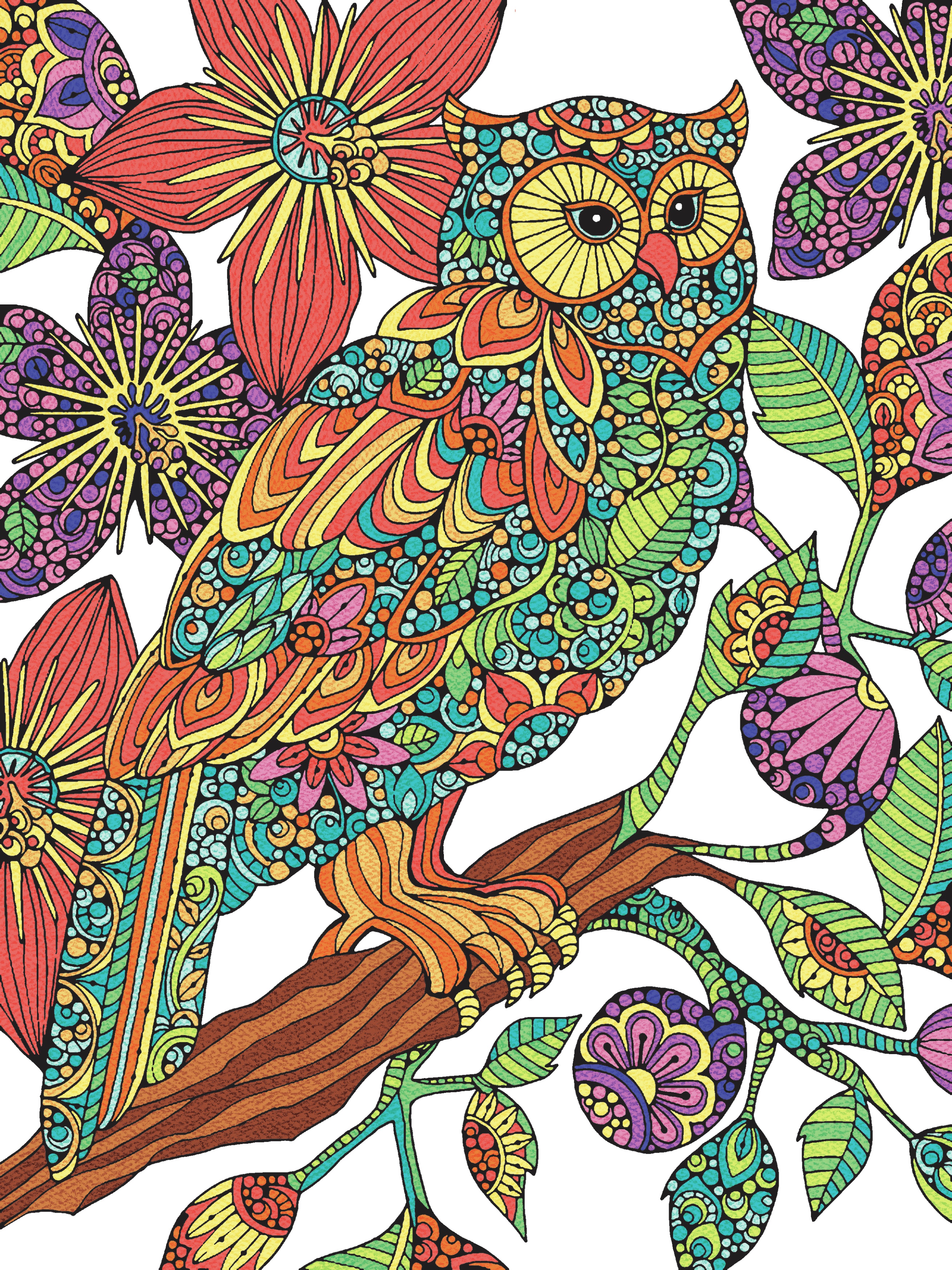 Pencil Works Color By Number Kit 9"X12"-Flowering Owl 88677915407 | eBay