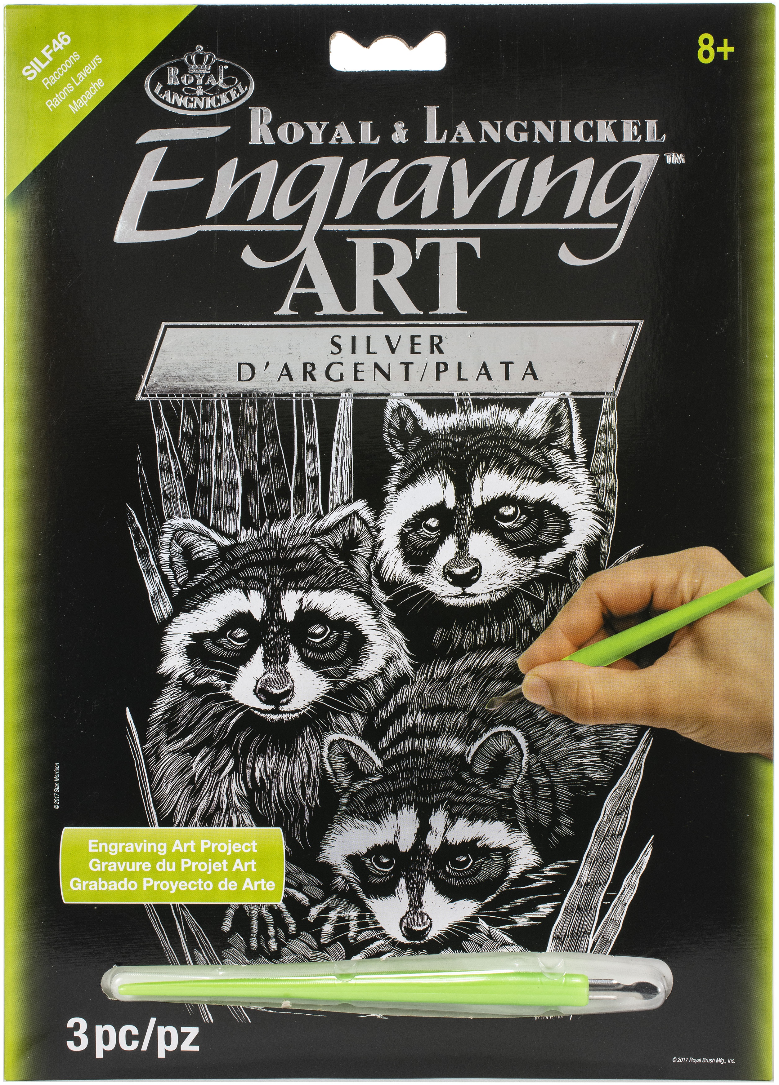 Silver Foil Engraving Art Kit 8"X10"Raccoons eBay