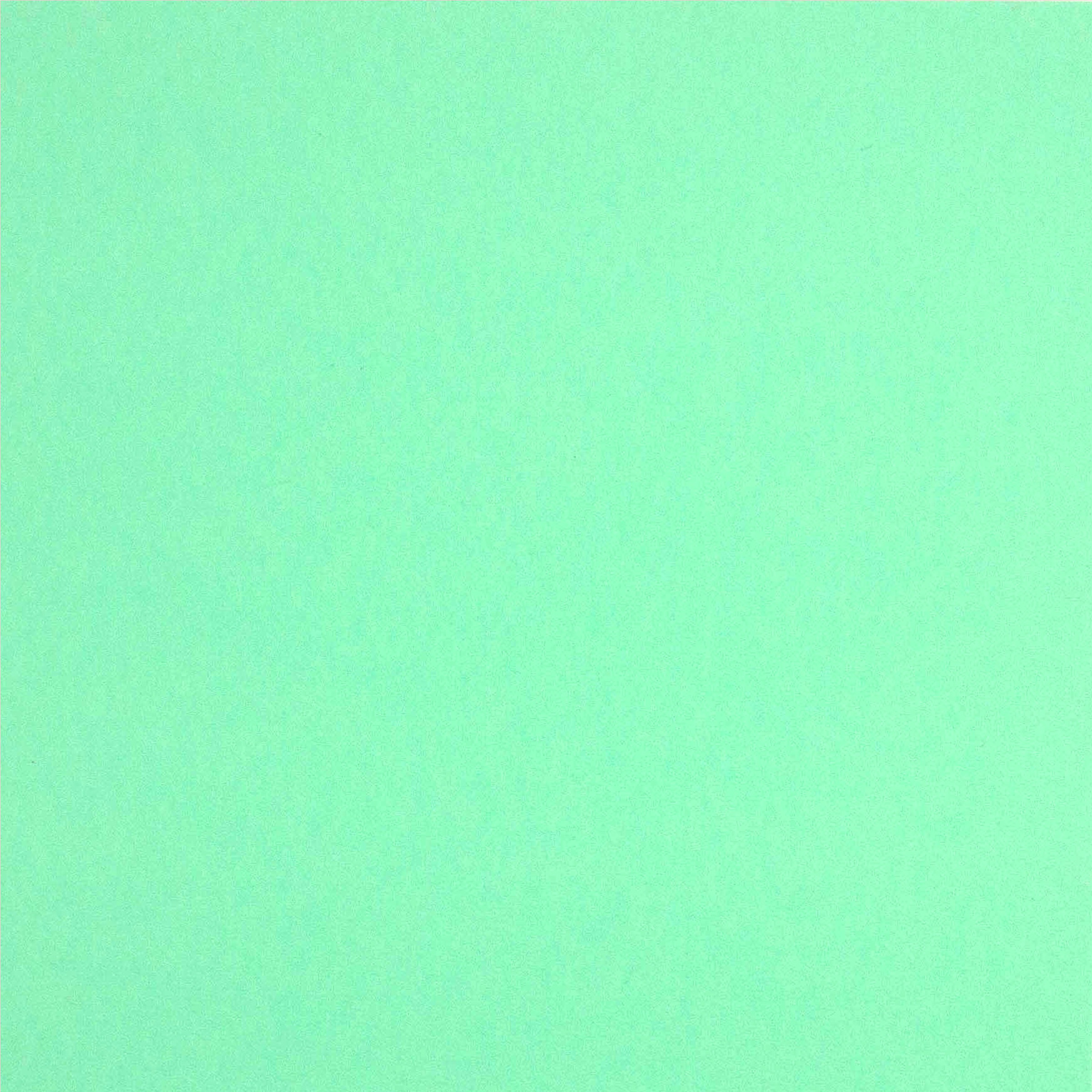 ColorPlan 100lb Cover Solid Cardstock 12"X12" 10/PkgPark Green eBay